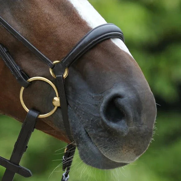 Passier exchangeable dropped noseband
