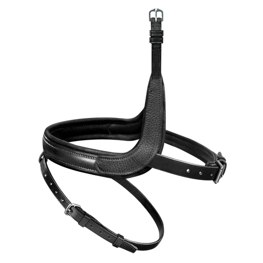 Passier exchangeable noseband with more room for the cheekbone with application