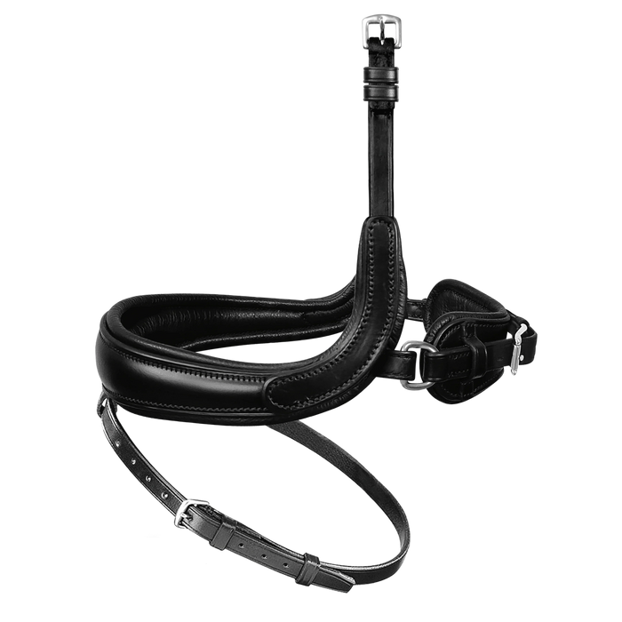 Passier exchangeable noseband with more room for the cheekbone