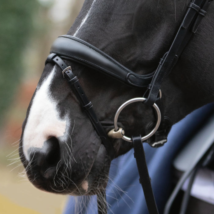 Passier exchangeable noseband with more room for the cheekbone