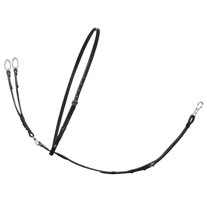 Passier Martingale