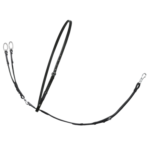 Passier Martingale