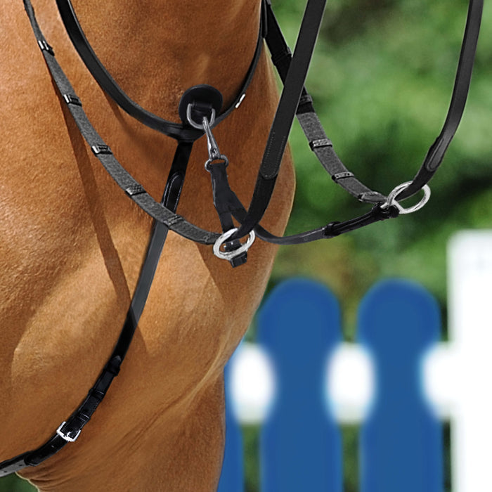 Passier Martingale