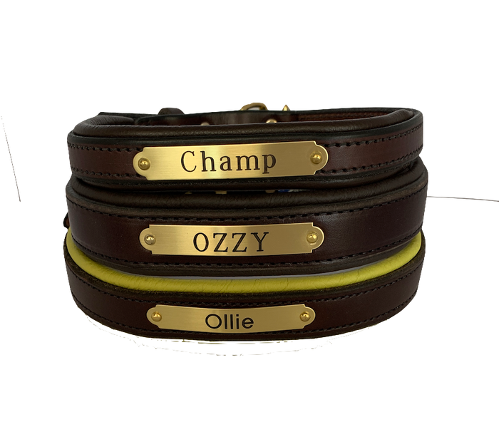 Perri's Brown Engraved Padded Leather Dog Collar- with colorful padding- USA made