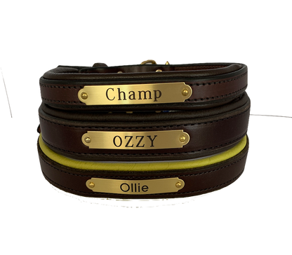 Perri's Brown Engraved Padded Leather Dog Collar- with colorful padding- USA made