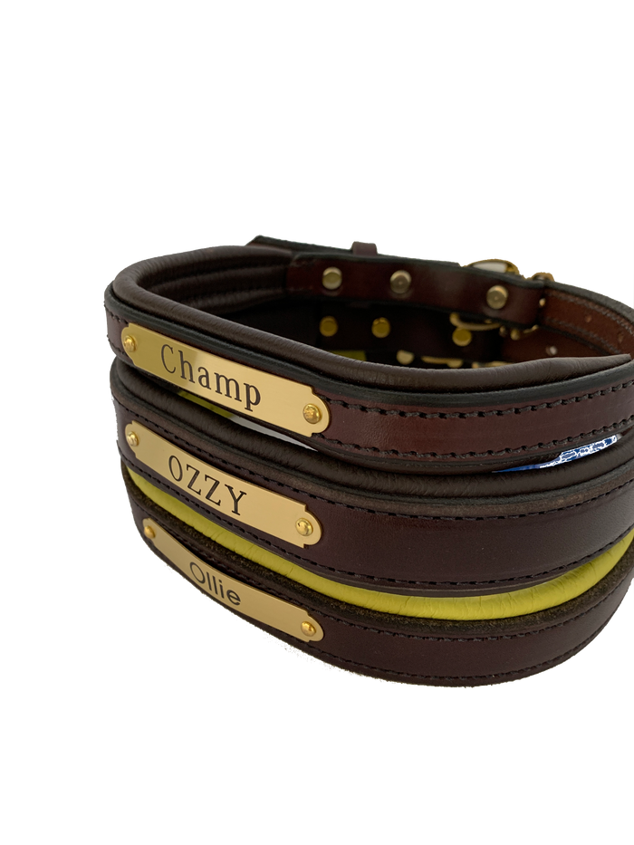Perri's Brown Engraved Padded Leather Dog Collar- with colorful padding- USA made