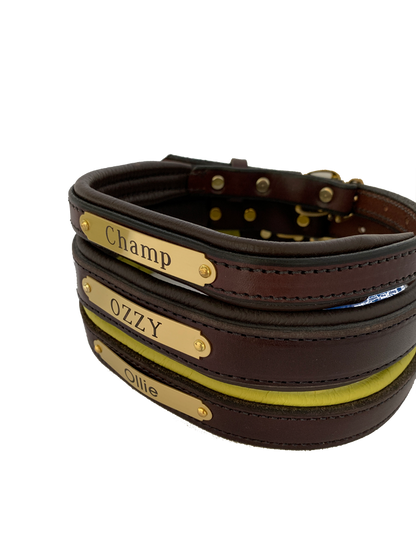 Perri's Brown Engraved Padded Leather Dog Collar- with colorful padding- USA made