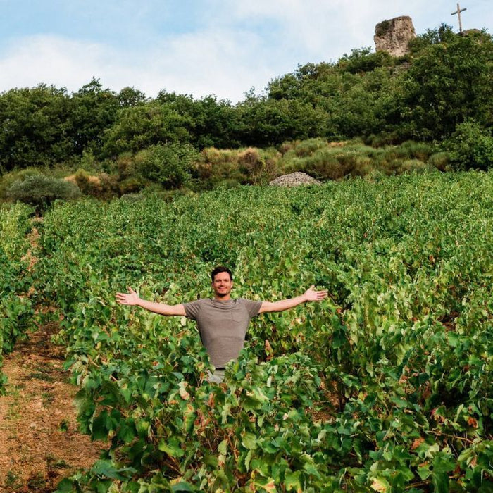 Pierre Antonin, Pet-Nat Vigne Sauvage 2024