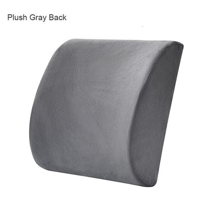 Grey Back