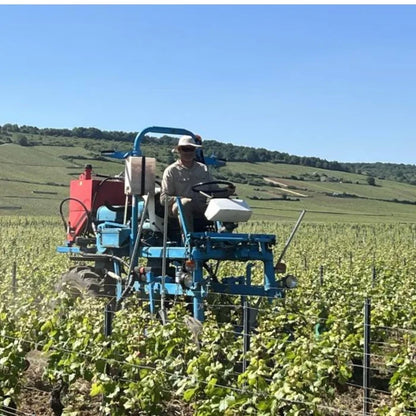 Rene Cacheux, Vosne-Romanee 2024