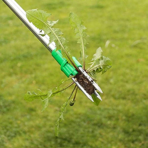 Root Remover-TopOnlineBargains.Com