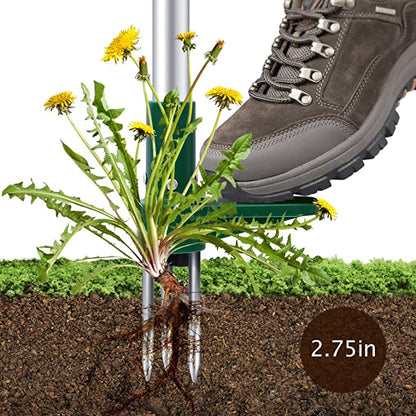 Root Remover-TopOnlineBargains.Com