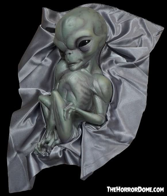 "Roswell Alien Baby Crash Victim" HD Exclusive Halloween Decoration