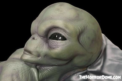 "Roswell Alien Baby Crash Victim" HD Exclusive Halloween Decoration