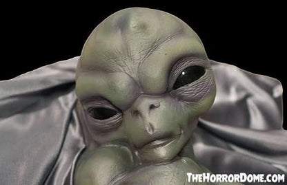 "Roswell Alien Baby Crash Victim" HD Exclusive Halloween Decoration