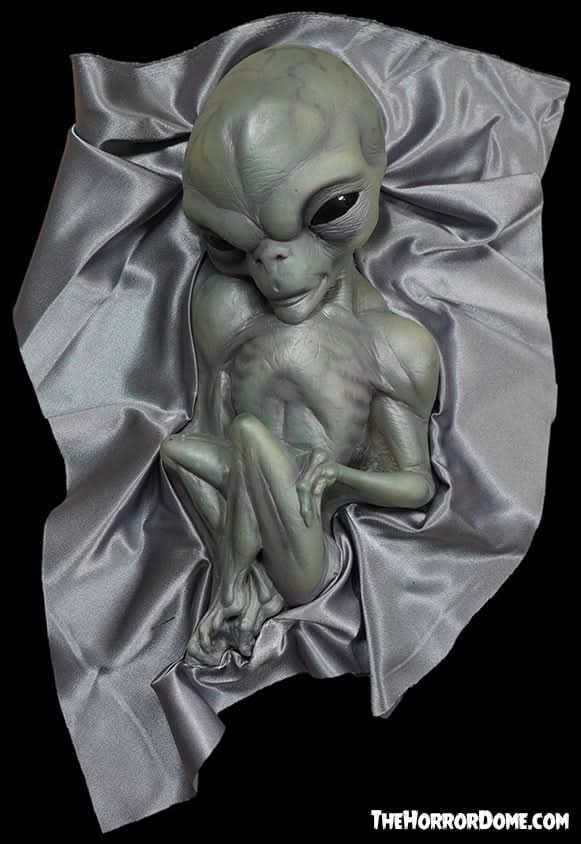 "Roswell Alien Baby Crash Victim" HD Exclusive Halloween Decoration