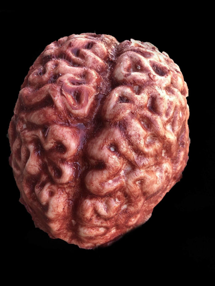 "Silicone Brain" Body Part Halloween Prop