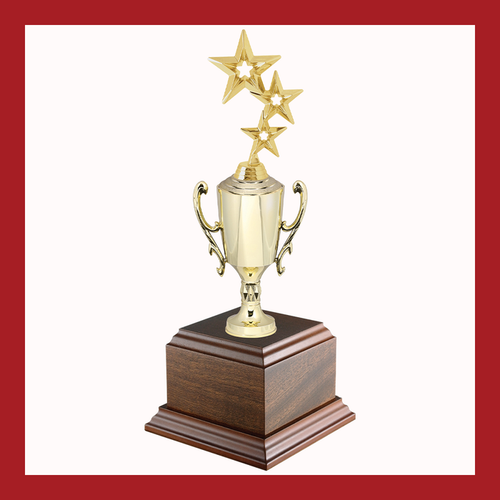 Star Chalice Cup Trophy
