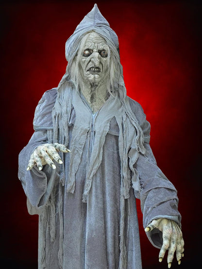 "Swamp Hag" HD Studios Costume
