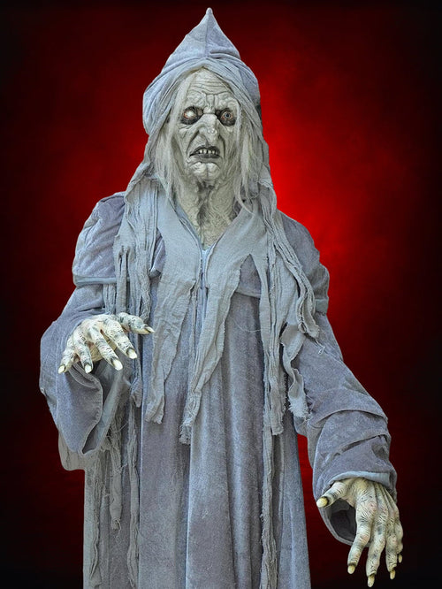 "Swamp Hag" HD Studios Costume