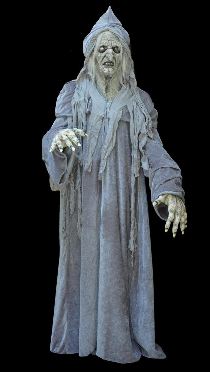 "Swamp Hag" HD Studios Costume