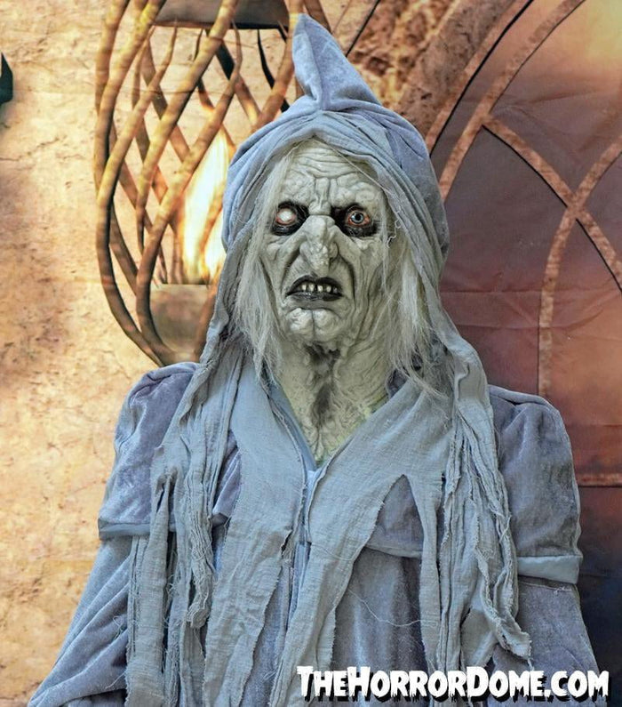 "Swamp Hag" HD Studios Costume
