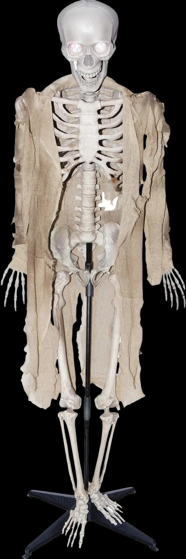 "Talking Skeleton" Halloween Prop - Open Box
