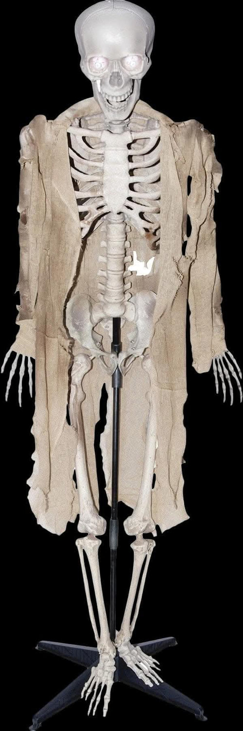 "Talking Skeleton" Halloween Prop - Open Box