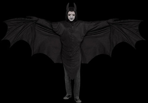 "Wicked Wing Bat" Value Halloween Costume - Adult