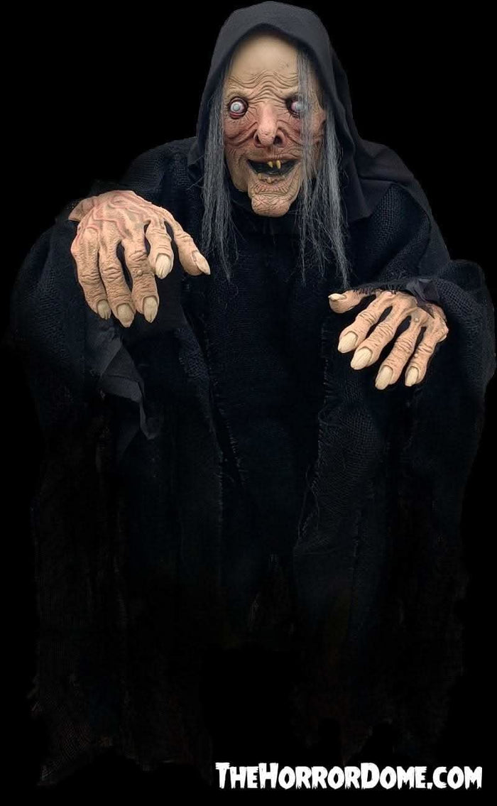 "Wicked Witch" HD Studios Comfort Fit Halloween Costume
