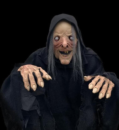 "Wicked Witch" HD Studios Comfort Fit Halloween Costume