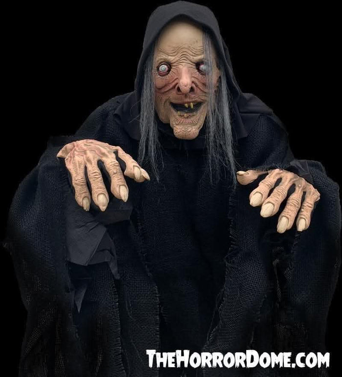 "Wicked Witch" HD Studios Comfort Fit Halloween Costume